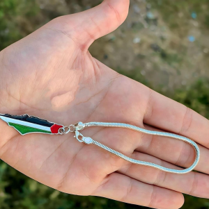 • عرض سلسلة و أنسيال فلسطين